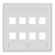 8Port DoubleGang Faceplate w/SID - White - IC107SD8WH 8Port DoubleGang Faceplate w/SID - White - IC107SD8WH